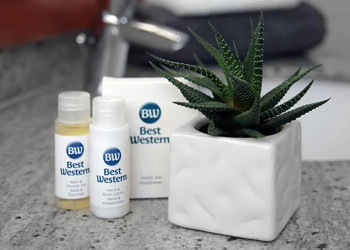 ホテル Western Halle-merseburg メルゼブルク