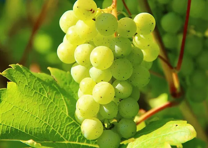 Western Halle-merseburg Hotel